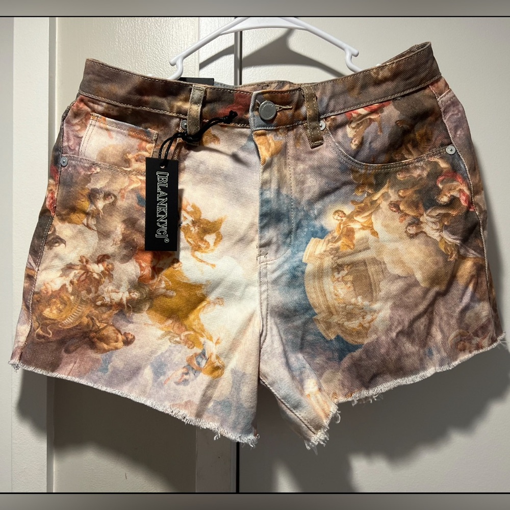 BlankNYC The Barrow Short